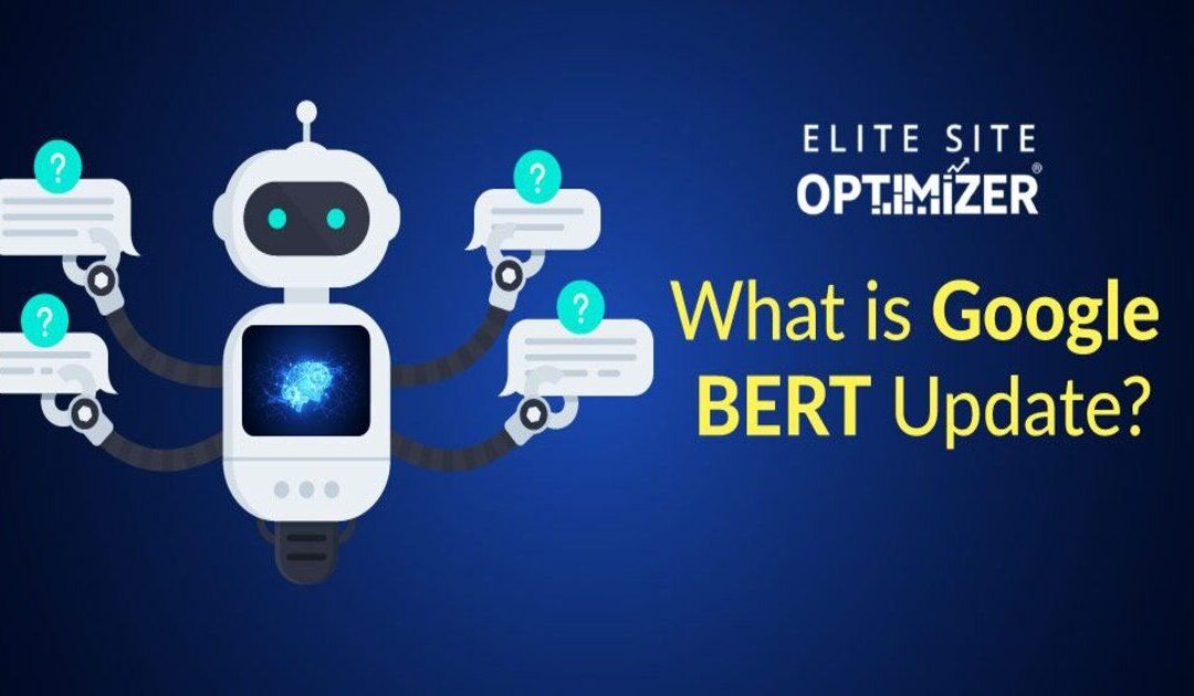 google bert update